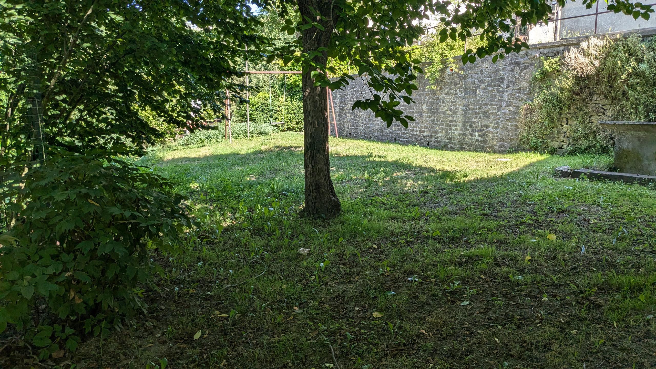 Area verde ex asilo