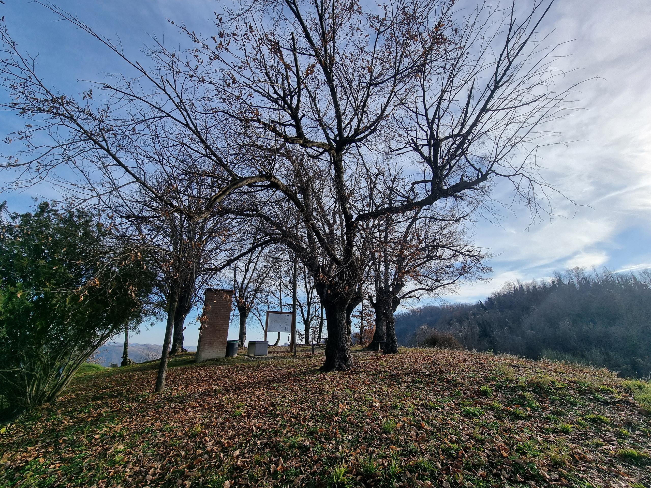 Belvedere degli Otto tigli