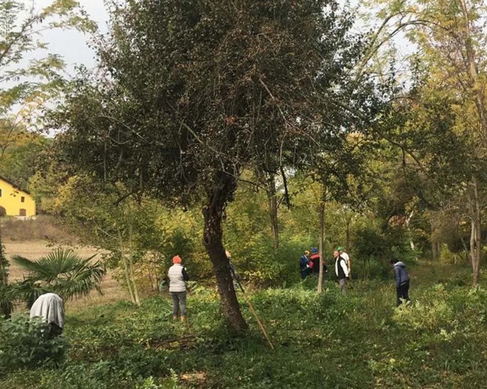 Parco di Montalupa