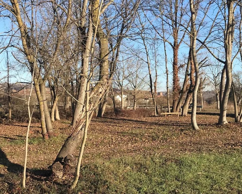 Parco di Montalupa