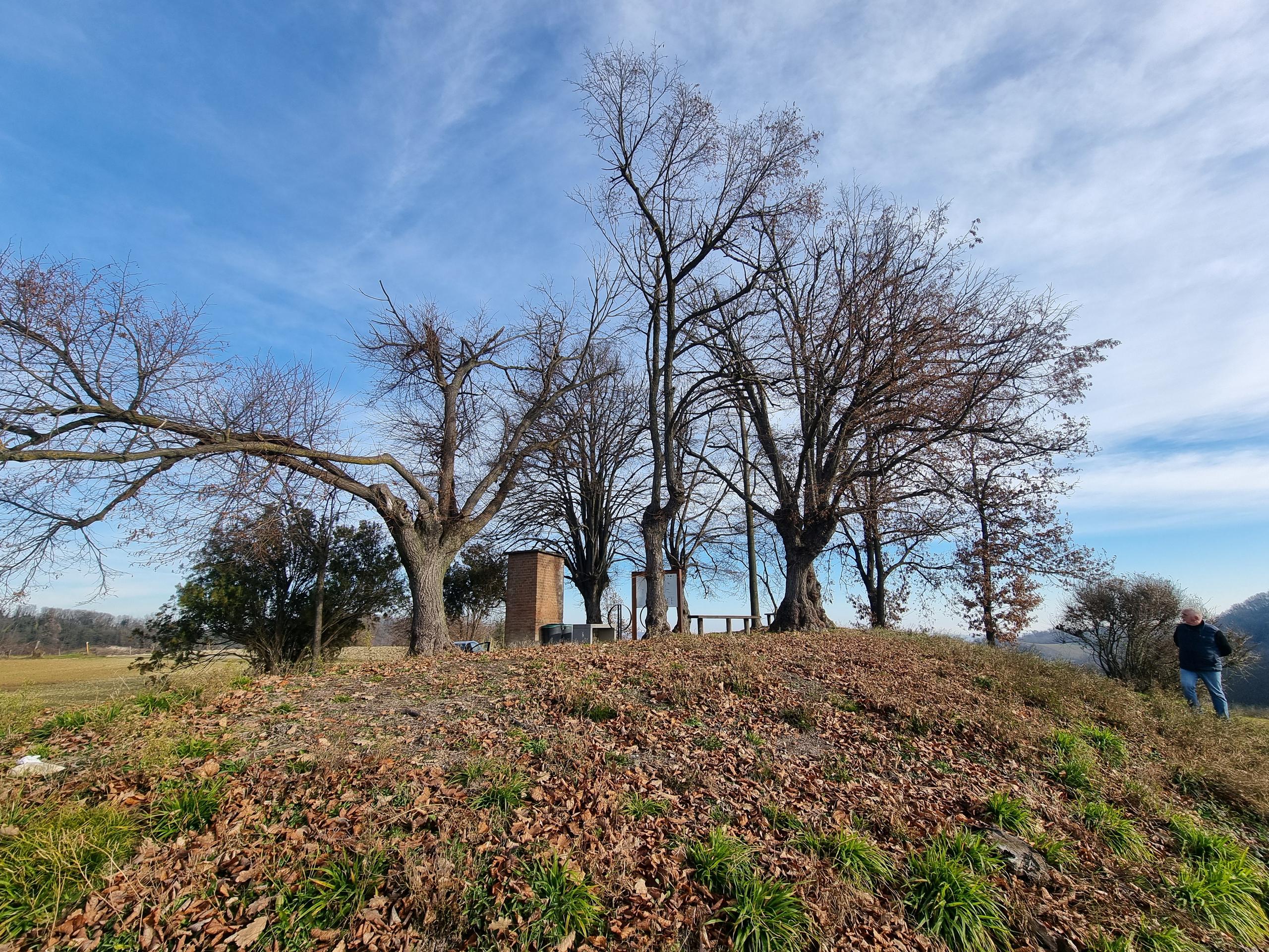 Belvedere degli Otto tigli