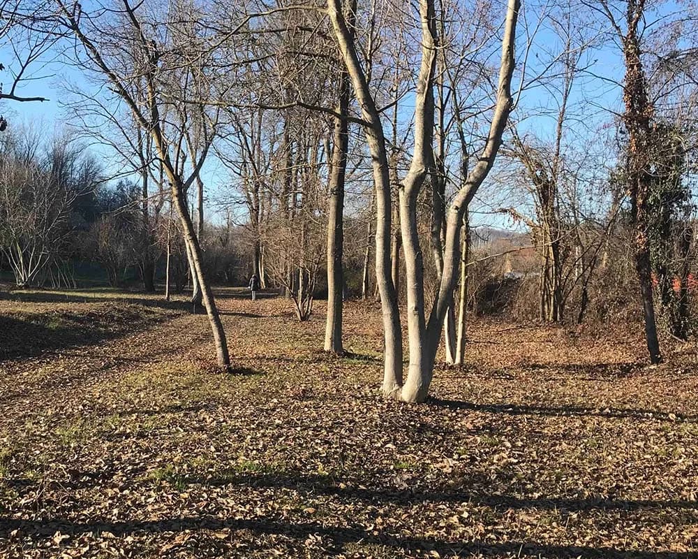Parco di Montalupa