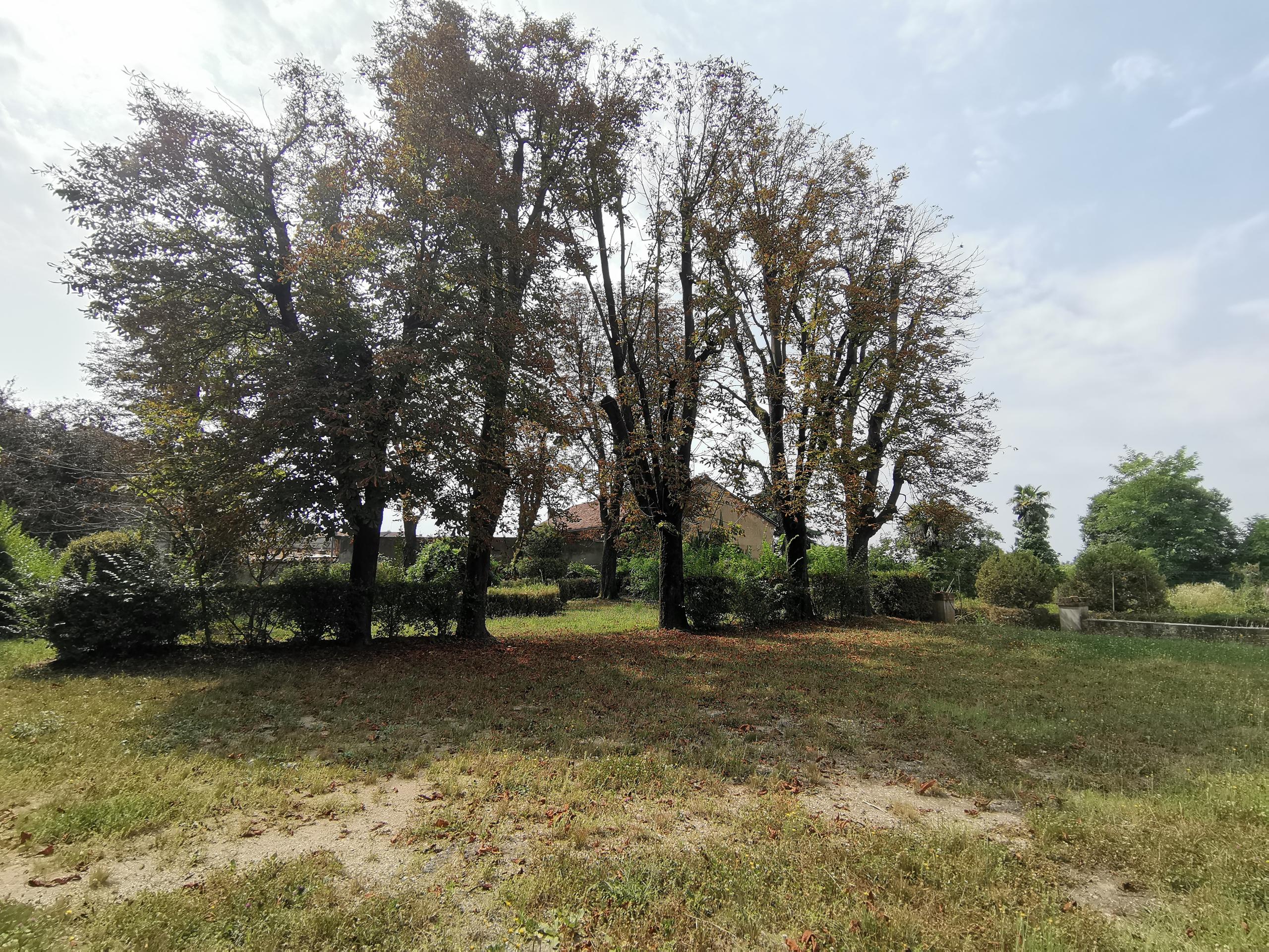 Tenuta La mercantile