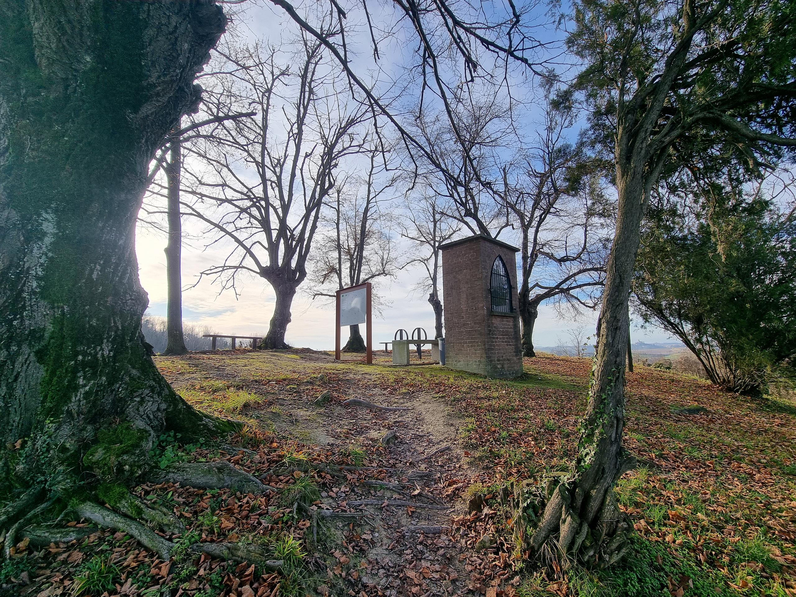 Belvedere degli Otto tigli