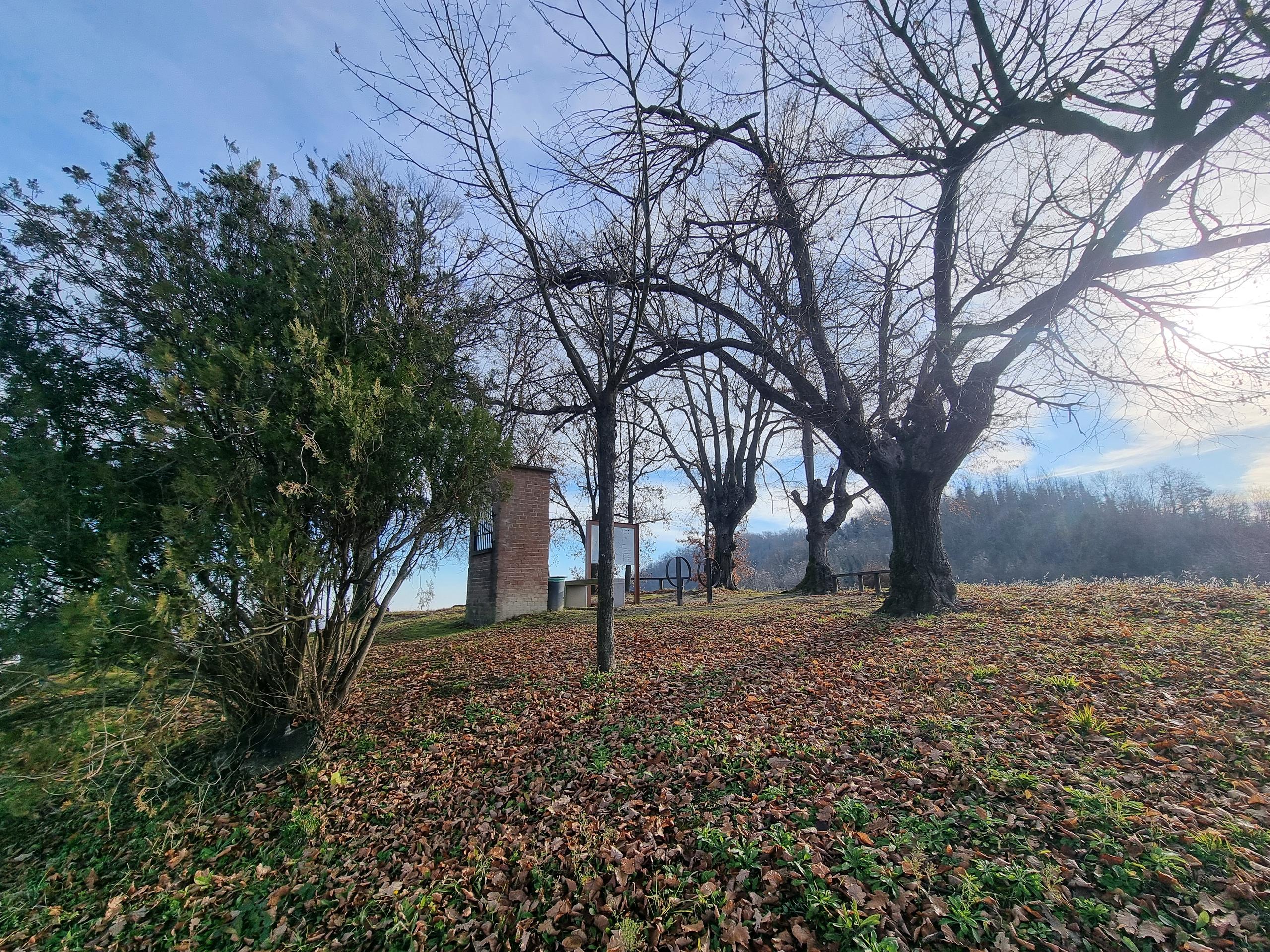 Belvedere degli Otto tigli
