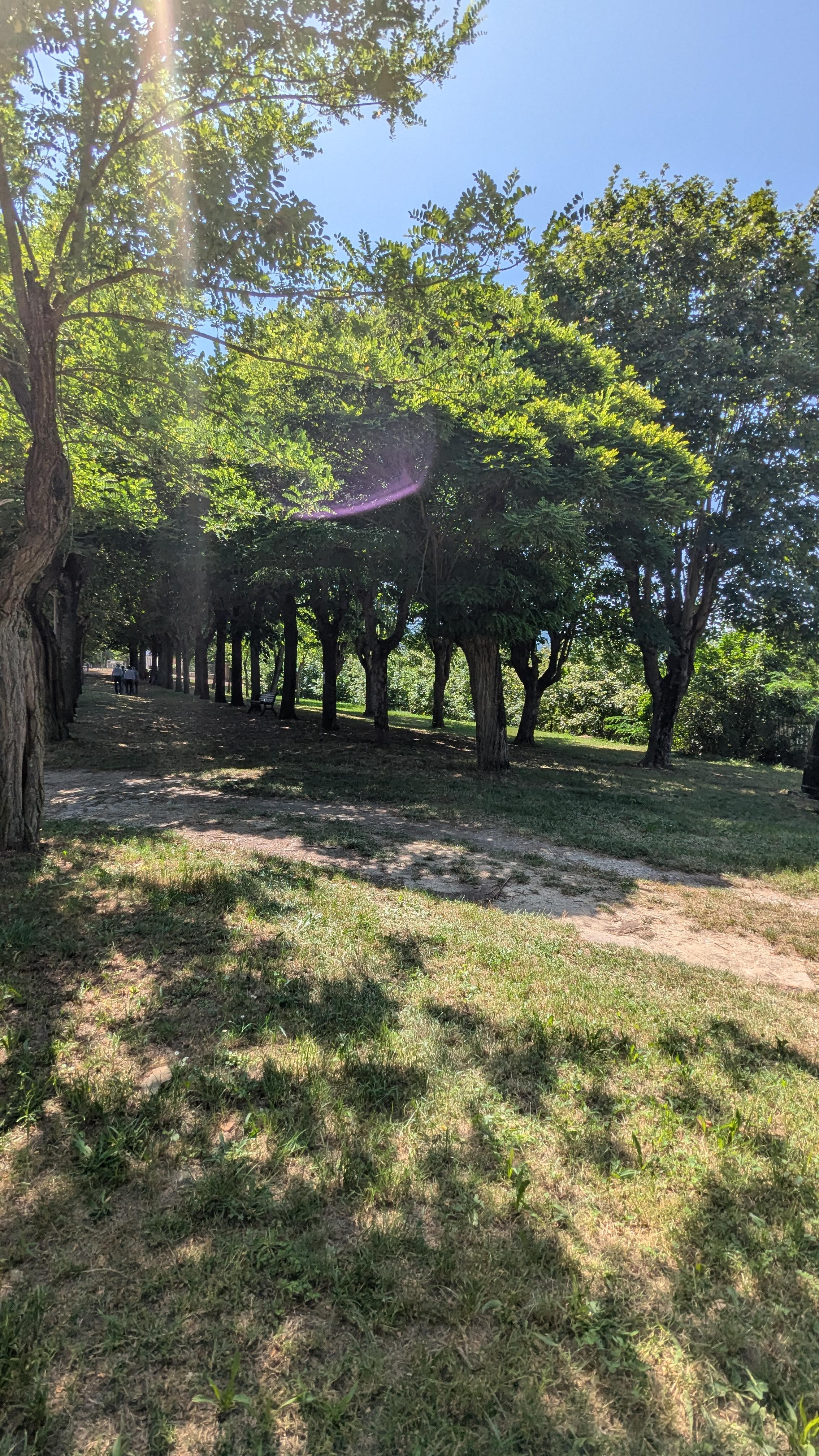 Viale Alberato "Michele Ferrero"