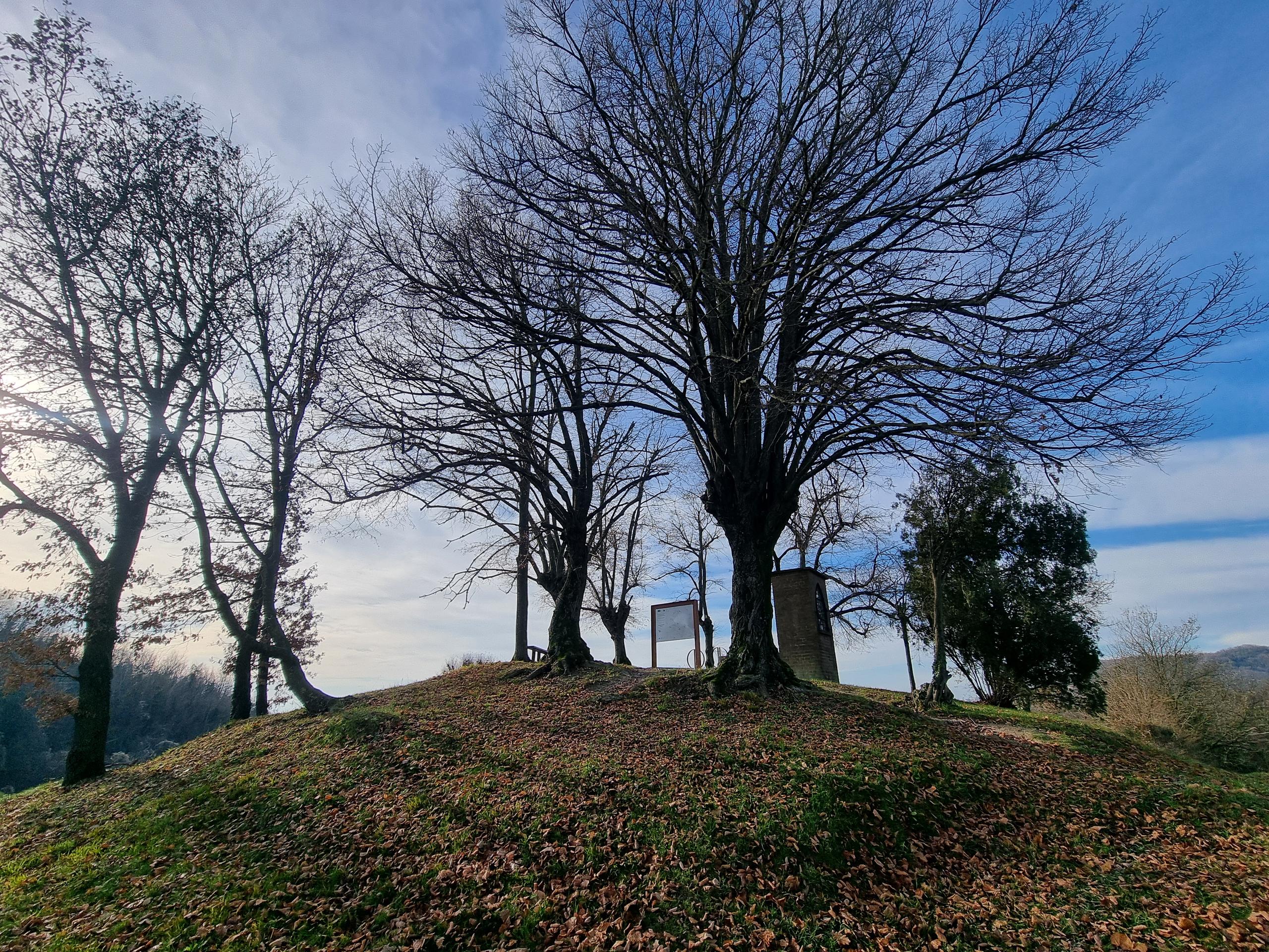 Belvedere degli Otto tigli