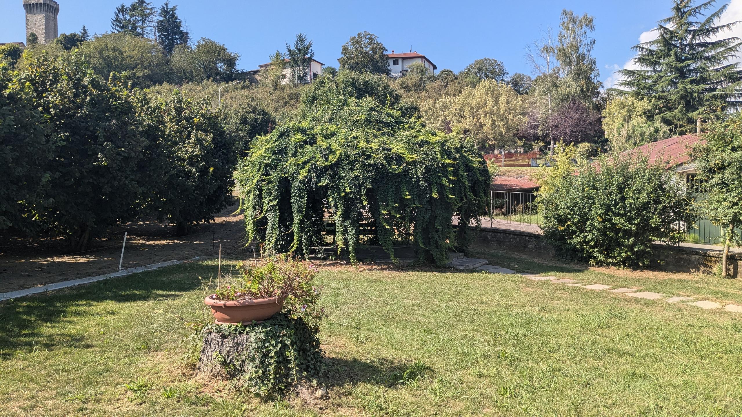 Belvedere