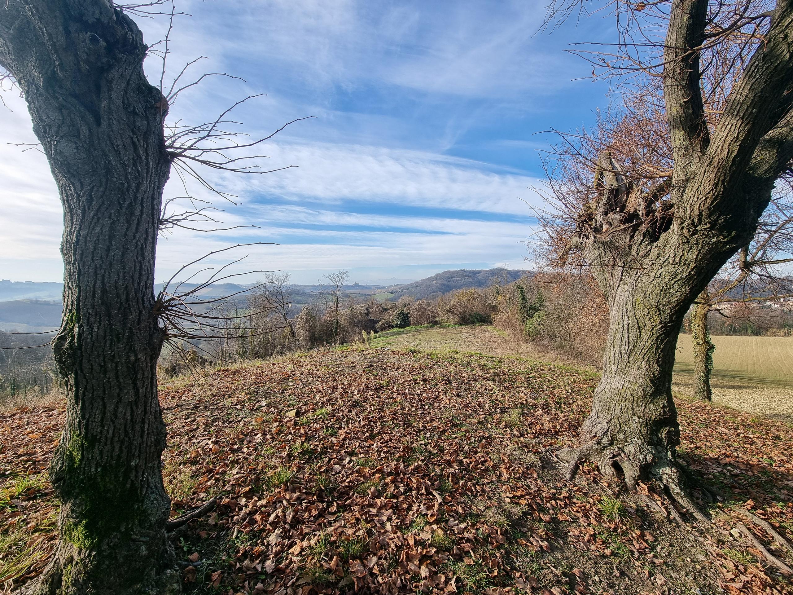 Belvedere degli Otto tigli