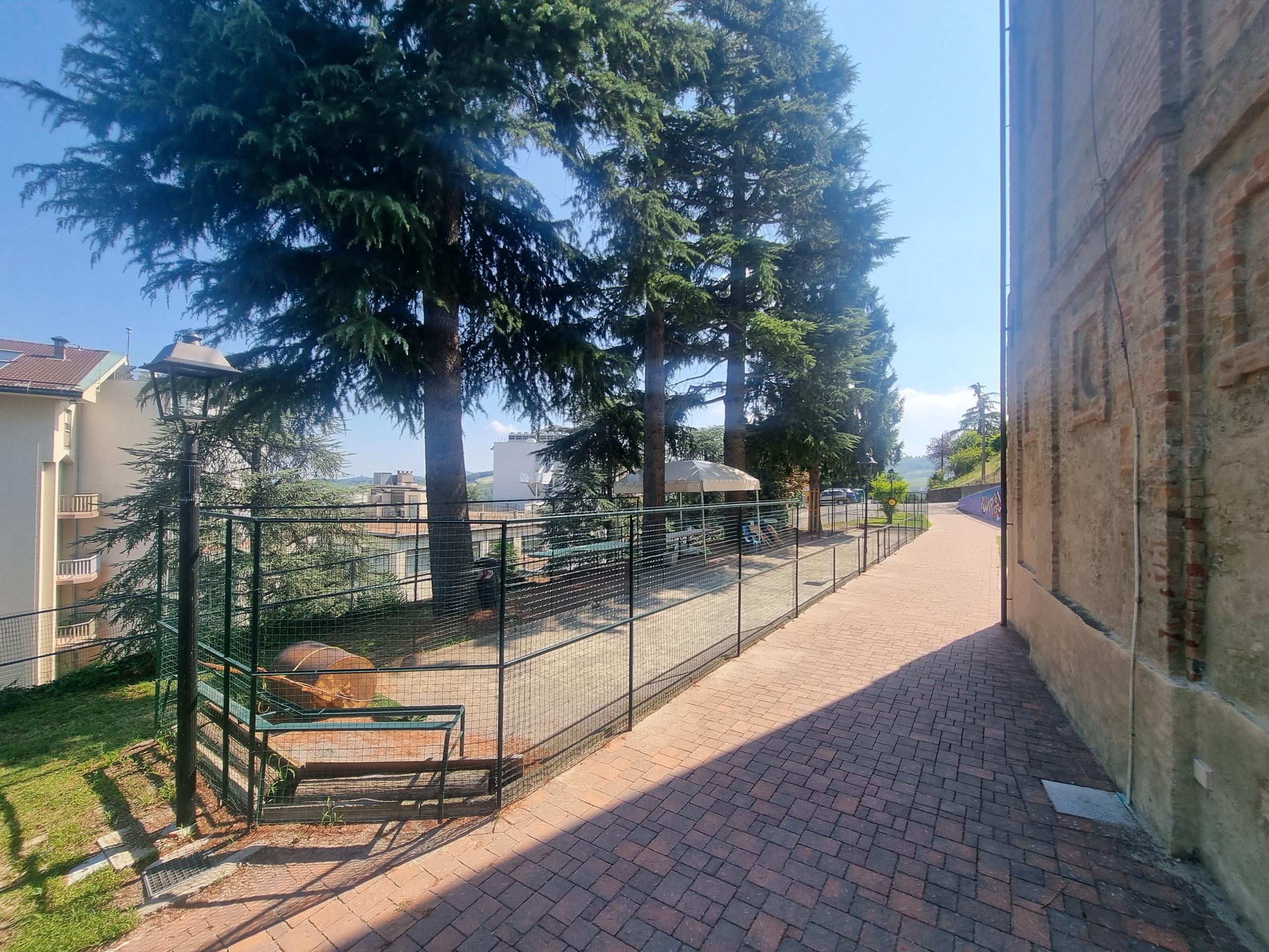 Palestra sportiva
