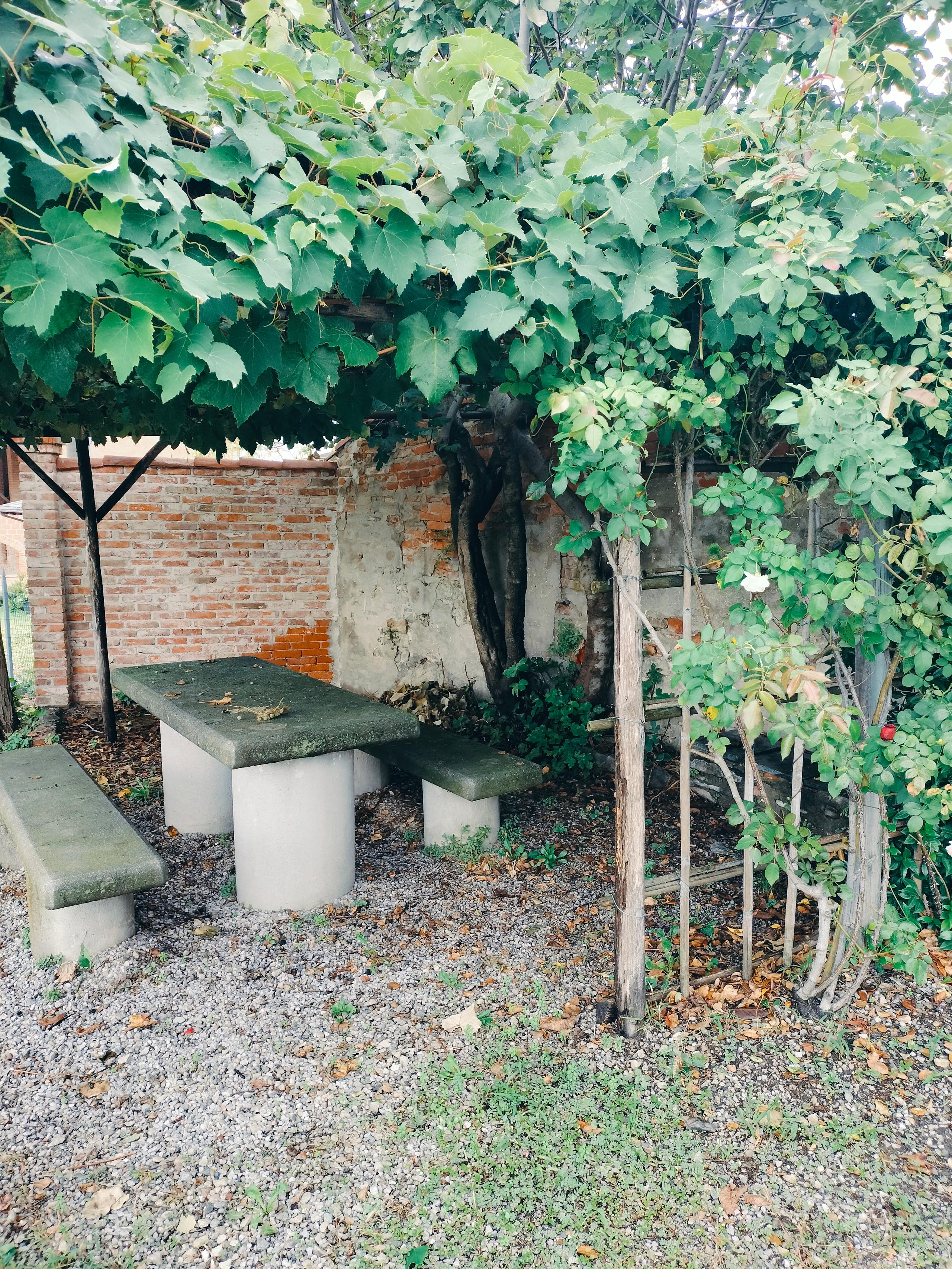 Piazzetta Ghigliani