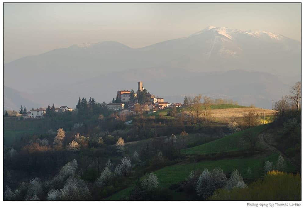 descrizione immagine