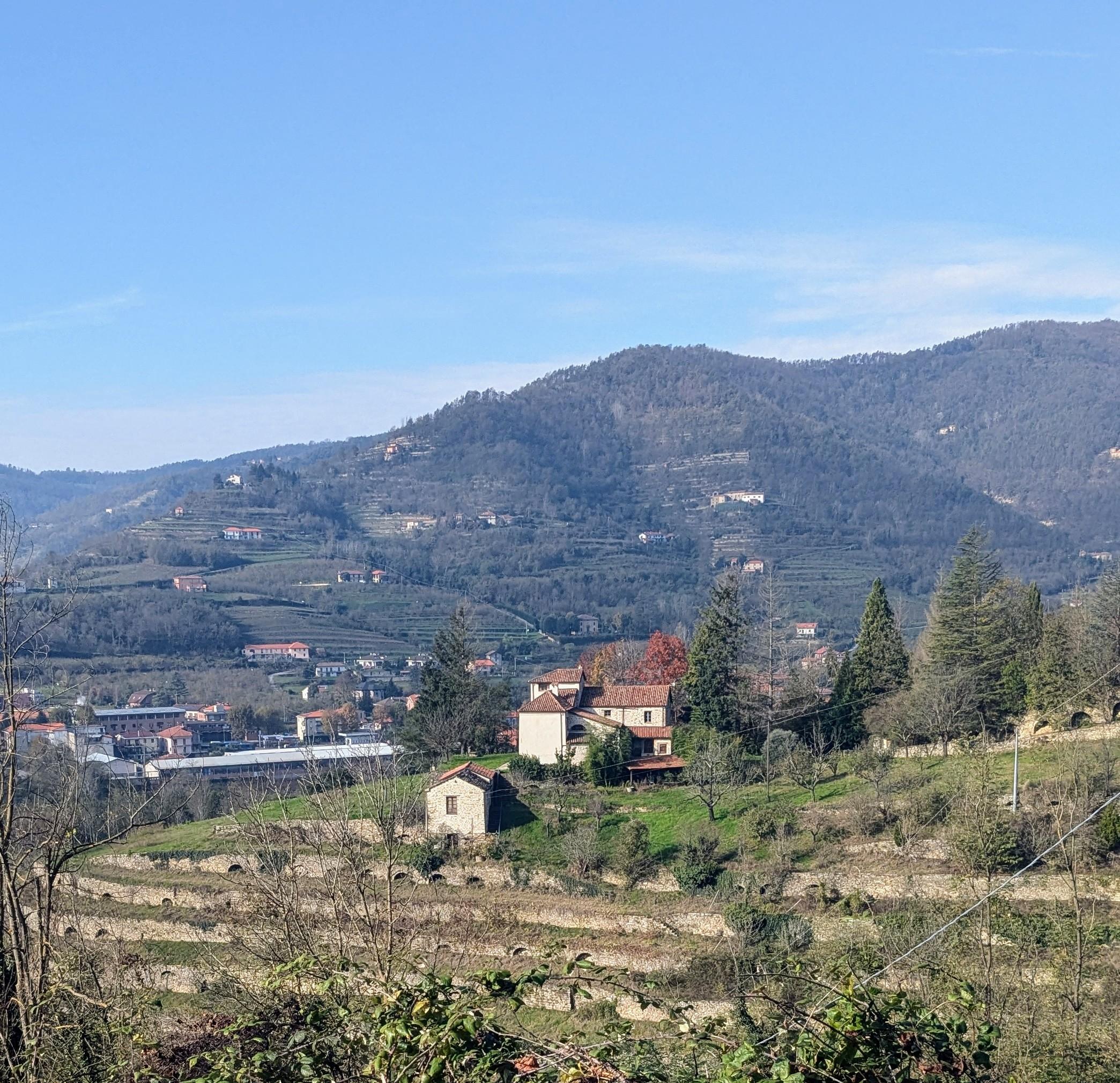 Monteoliveto