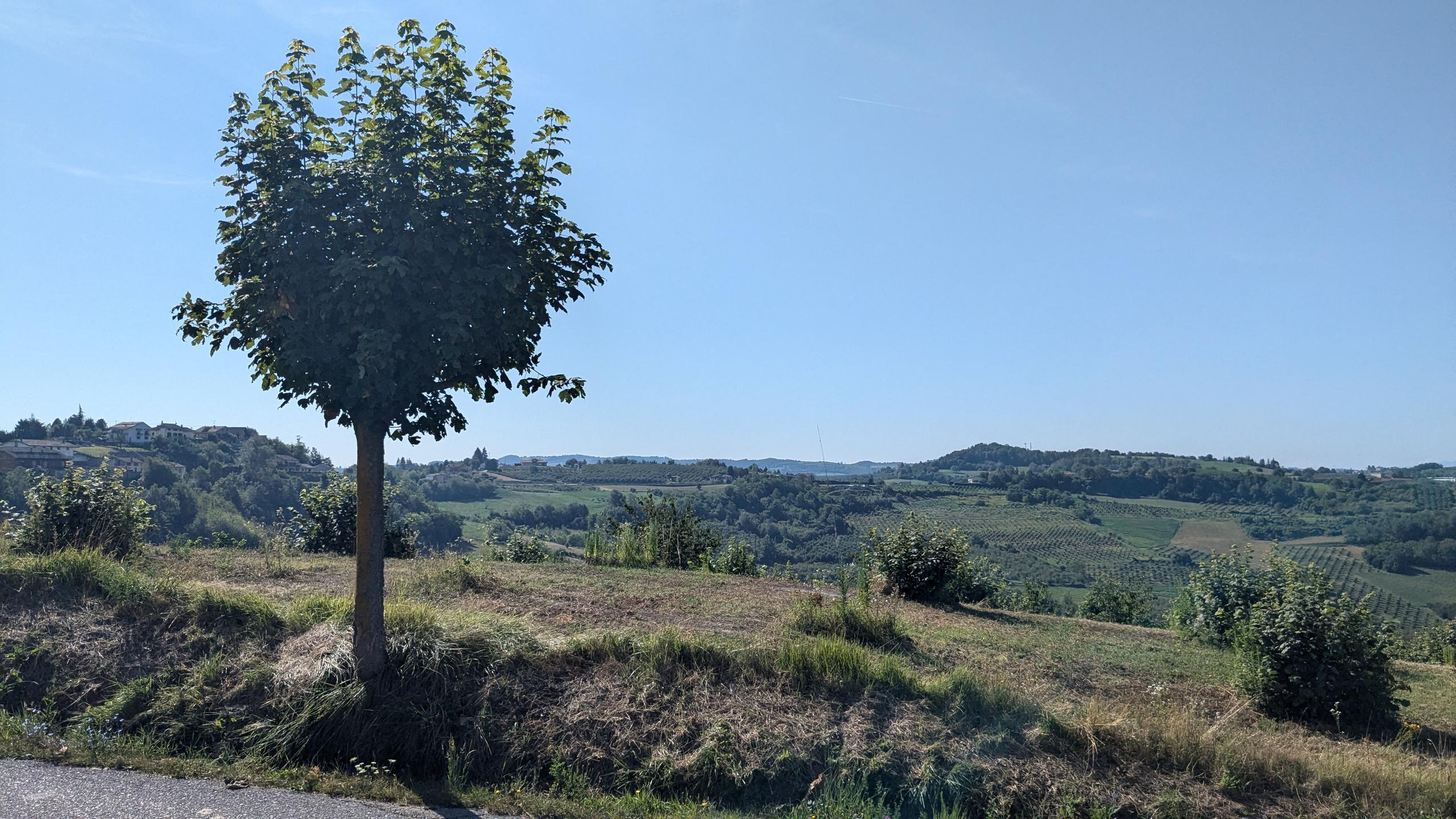 Salone Polifunzionale