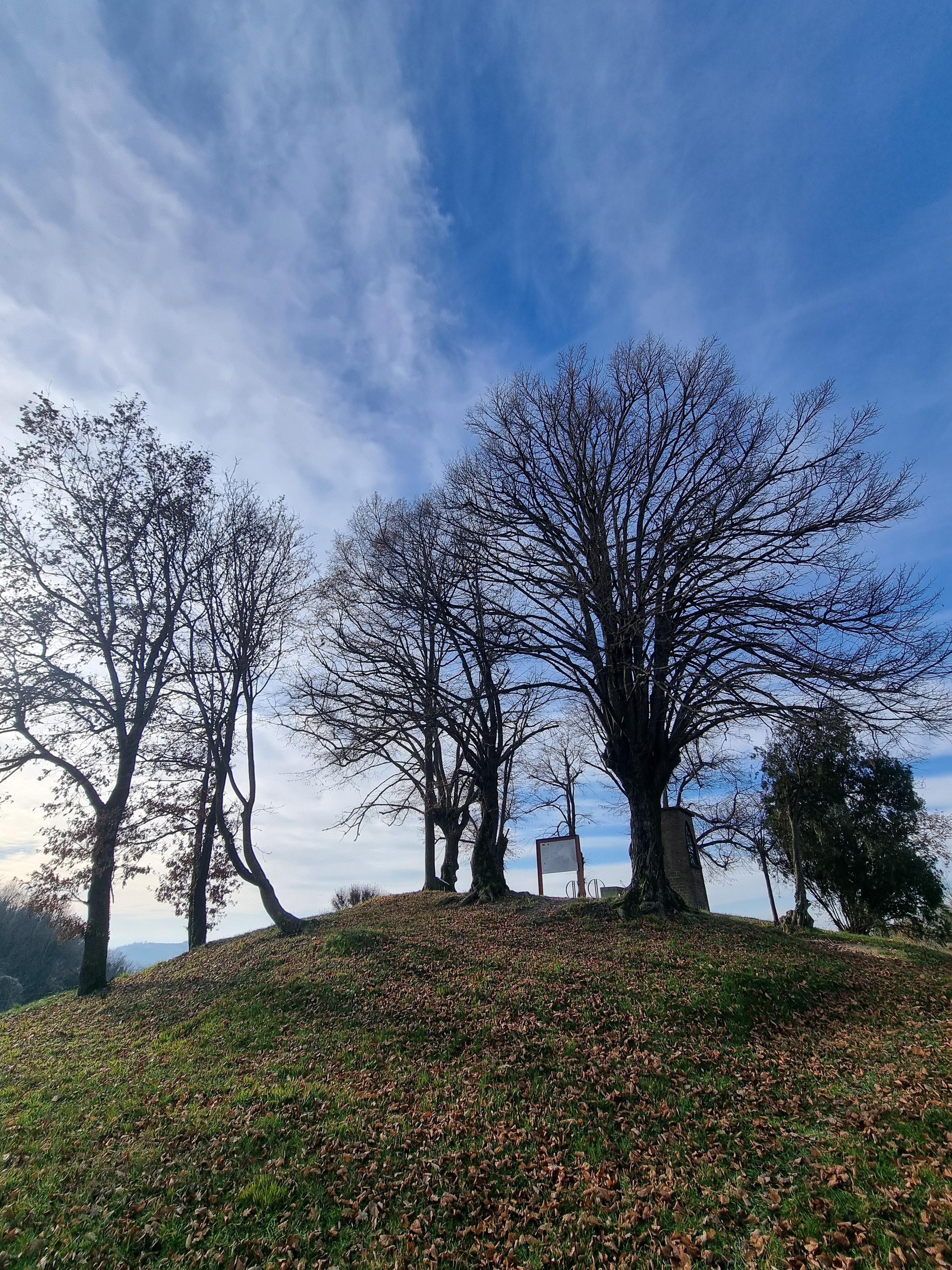 Belvedere degli Otto tigli
