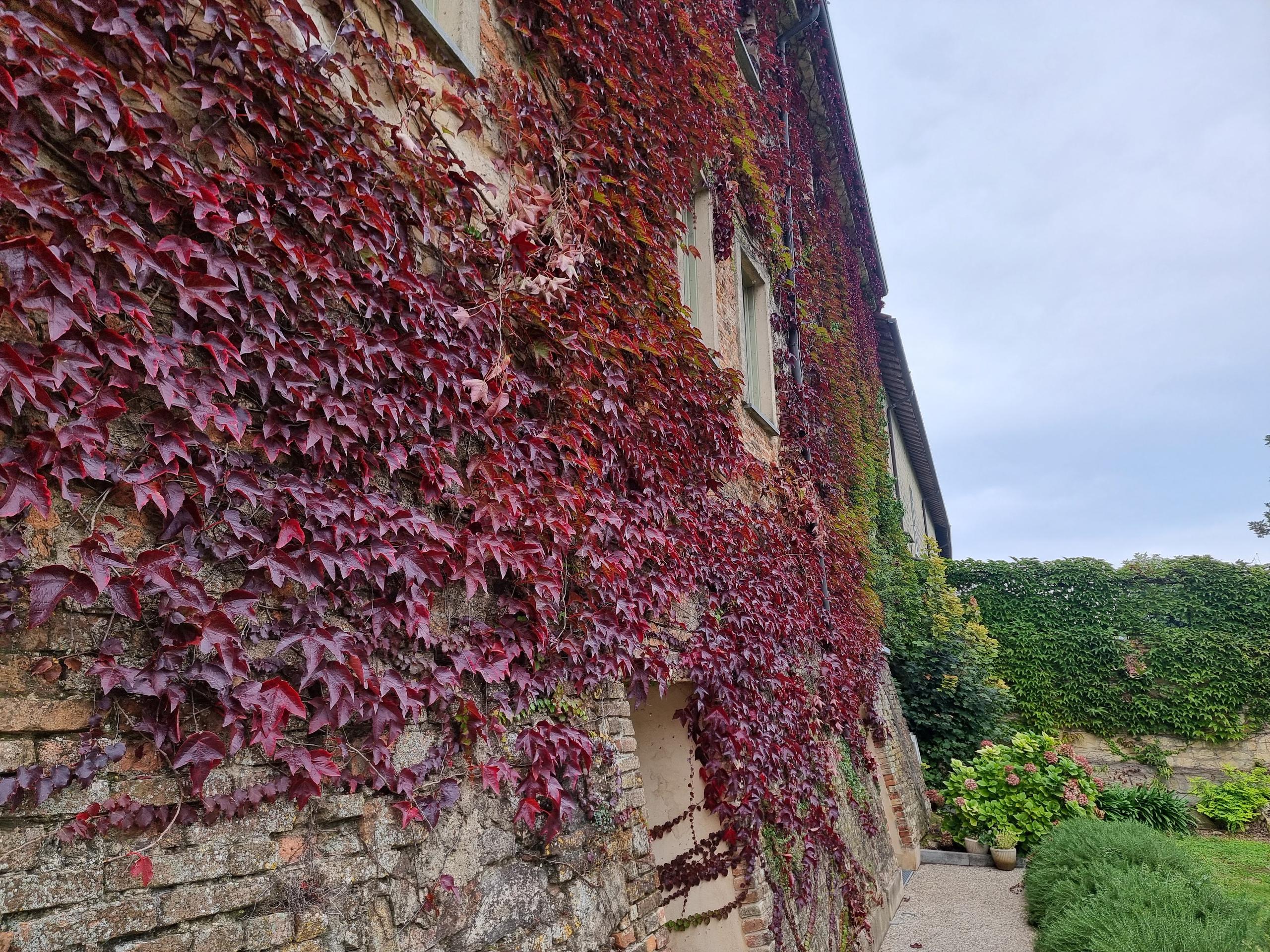 Ecomuseo della pietra dei cantoni (outdoor)