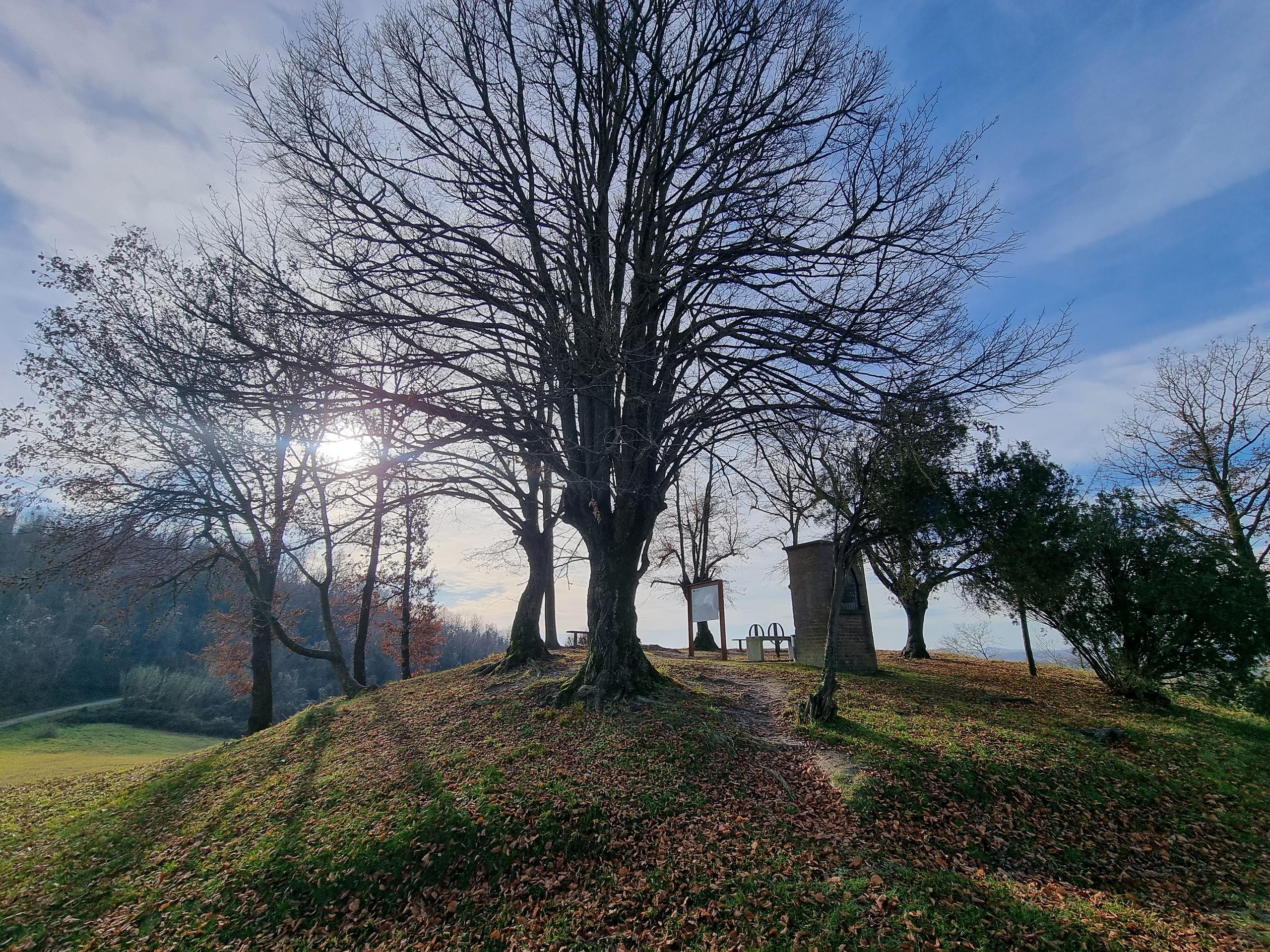 Belvedere degli Otto tigli