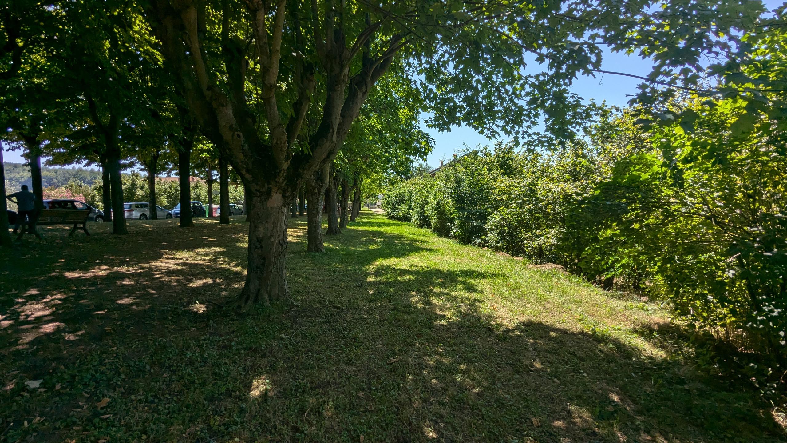 Viale Alberato "Michele Ferrero"