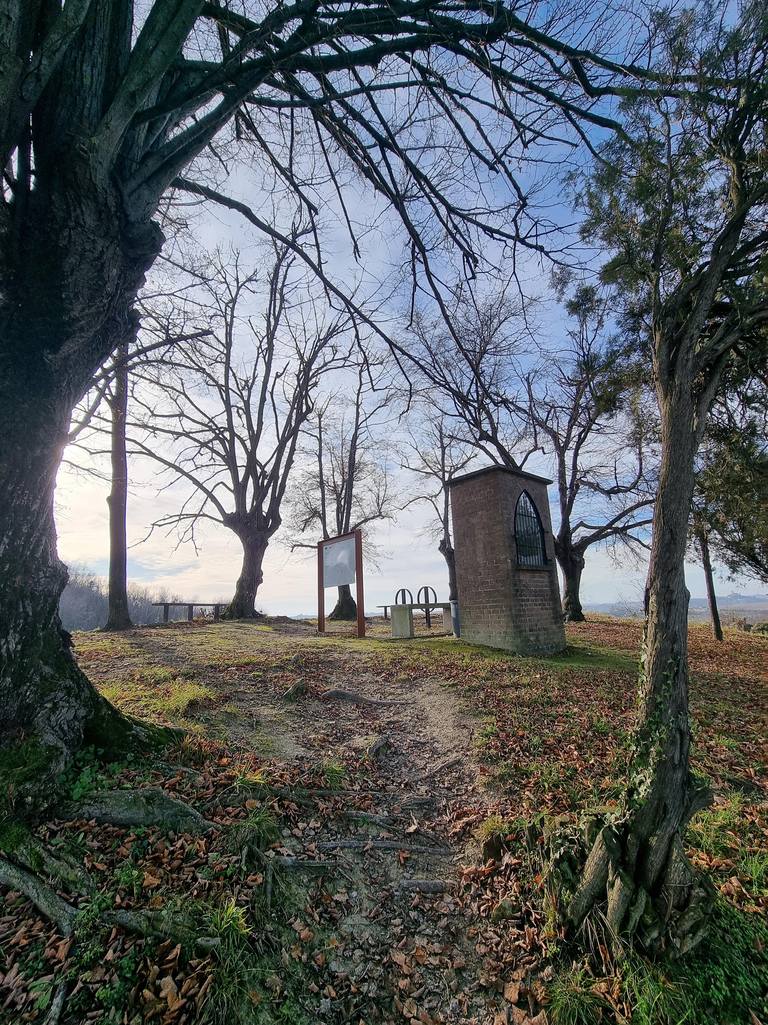 Belvedere degli Otto tigli