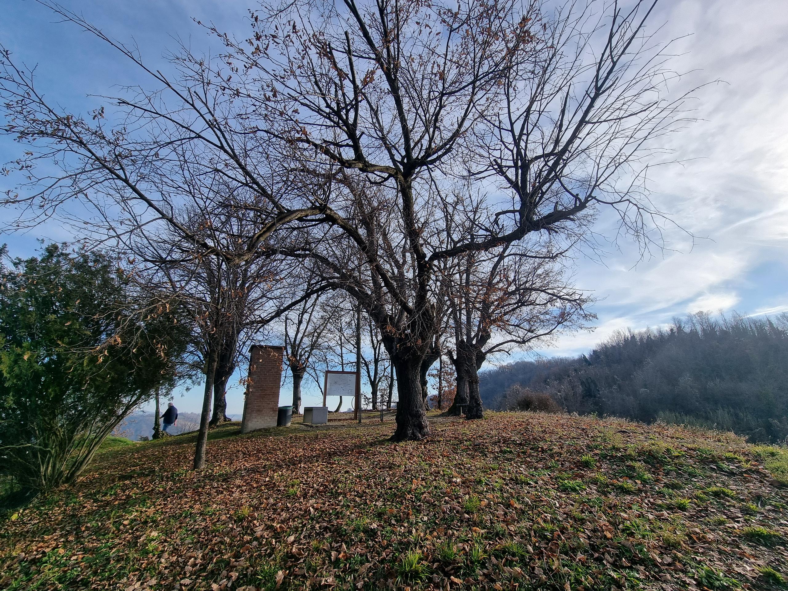 Belvedere degli Otto tigli