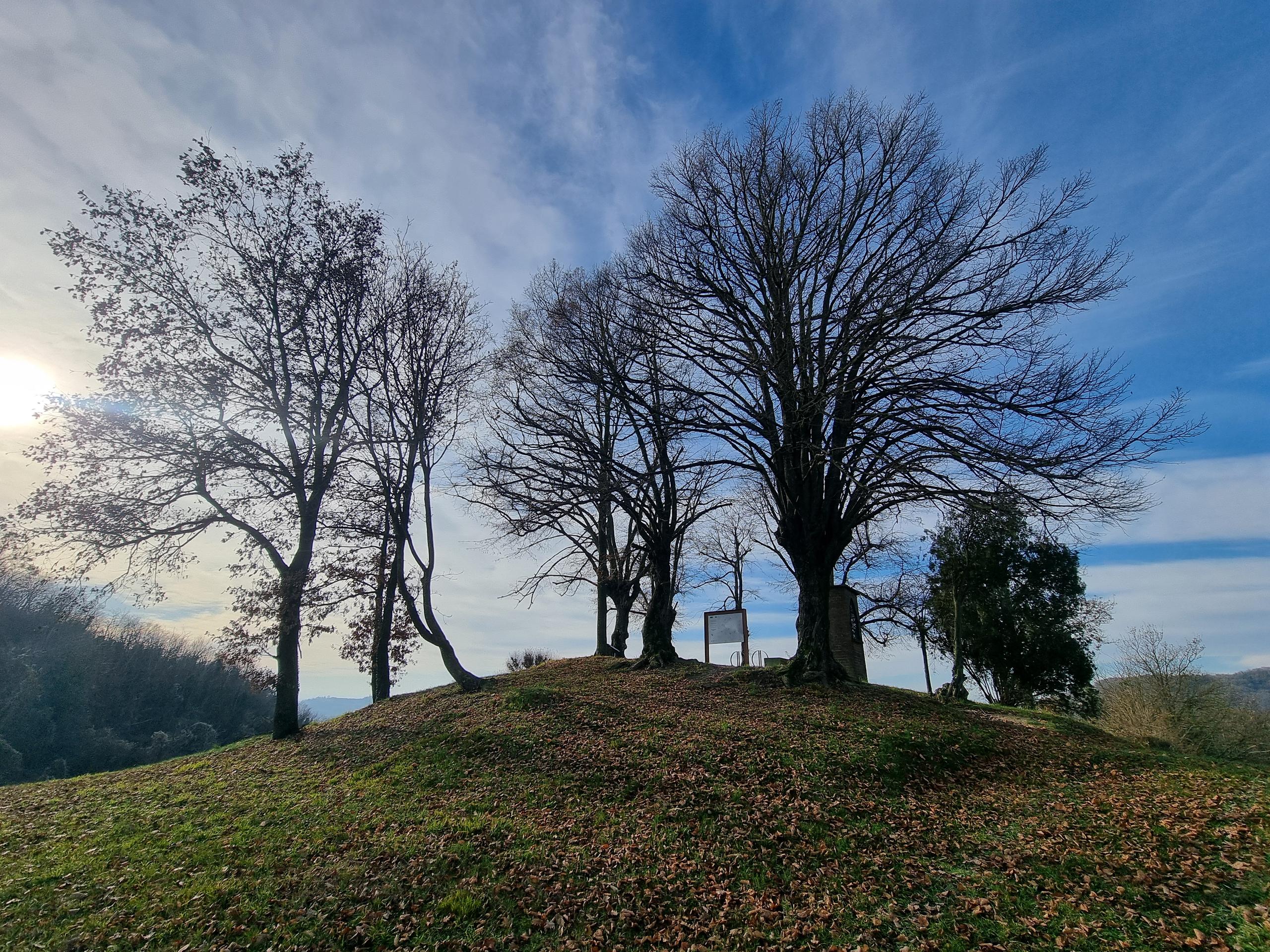 Belvedere degli Otto tigli