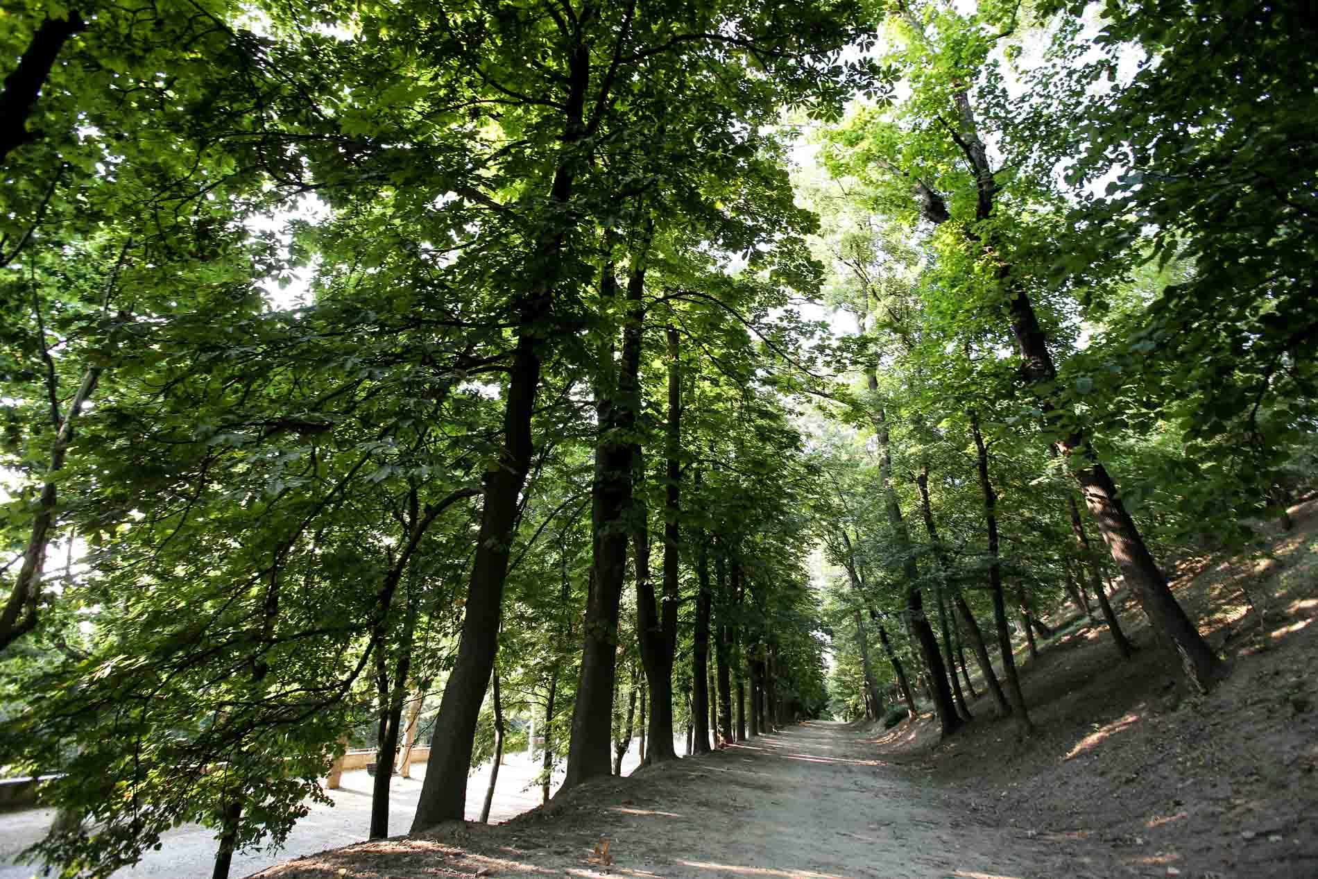 Spazi esterni - Castello Reale di Govone
