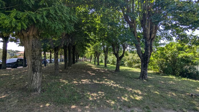 Photo of Viale Alberato "Michele Ferrero" in Cravanzana
