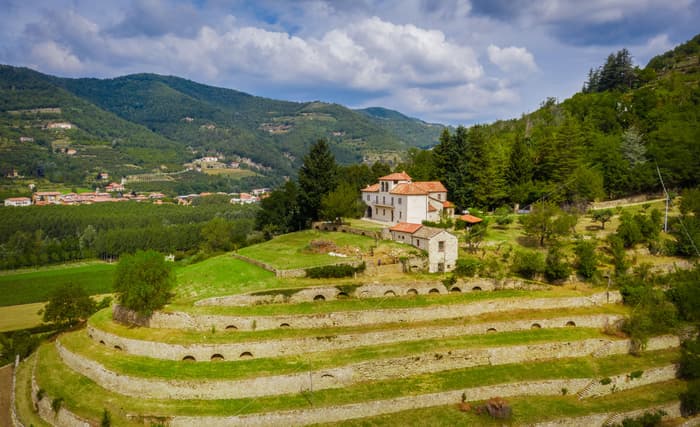 Foto di Monteoliveto a Cortemilia