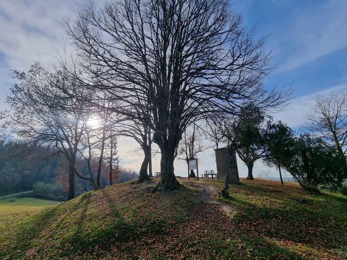 Foto di Belvedere degli Otto tigli a Montemagno