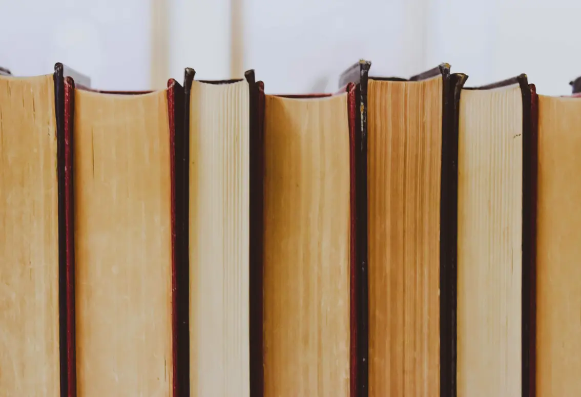 Digitization of Libraries and Cultural Centers.