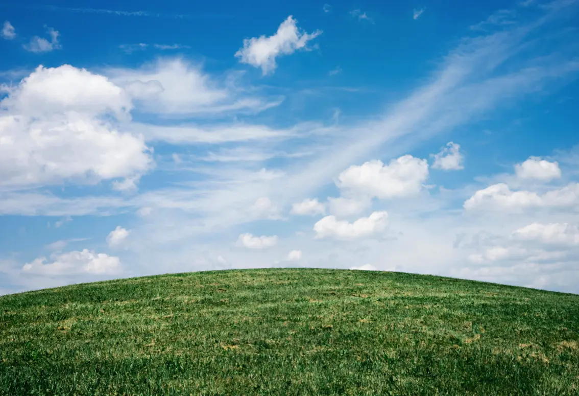 Parks and Green Areas Management
